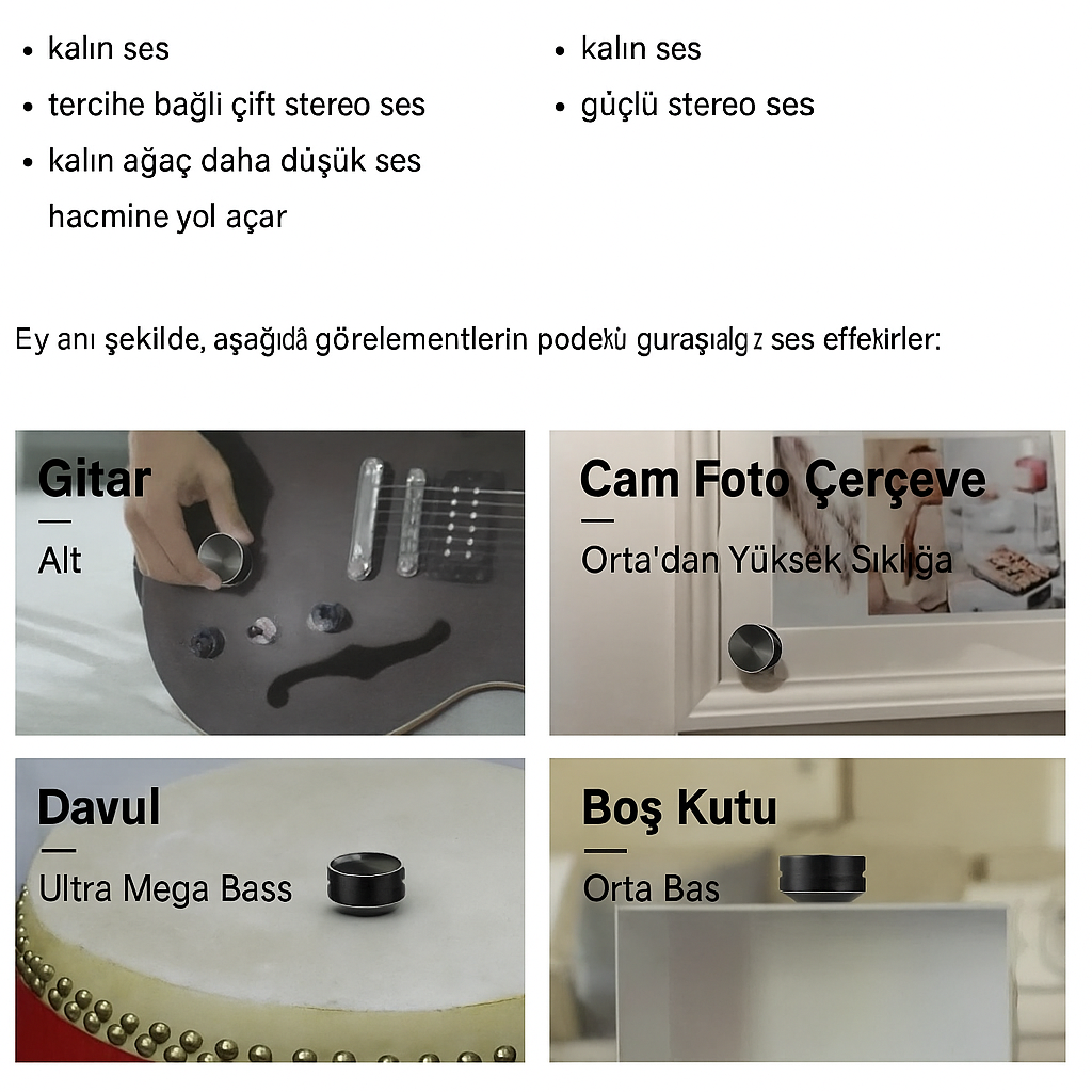 VibeDisk Mini Hoparlör